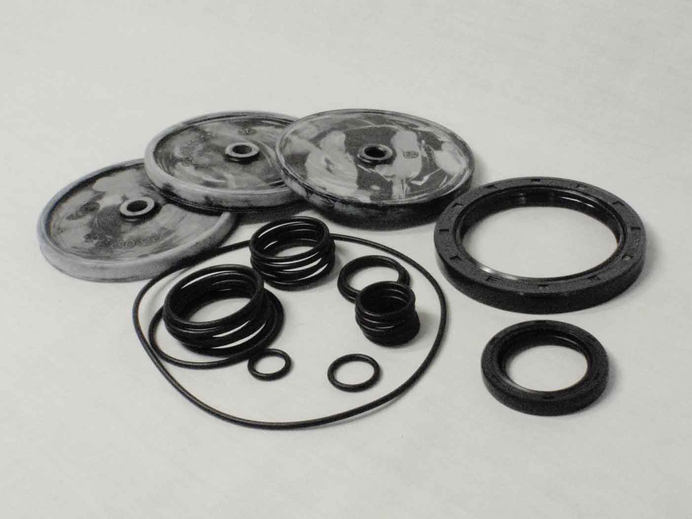 #41870 PA530 Pump Repair Kit